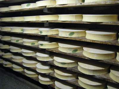 Как устроены сырные фермы в Альпах. Фото