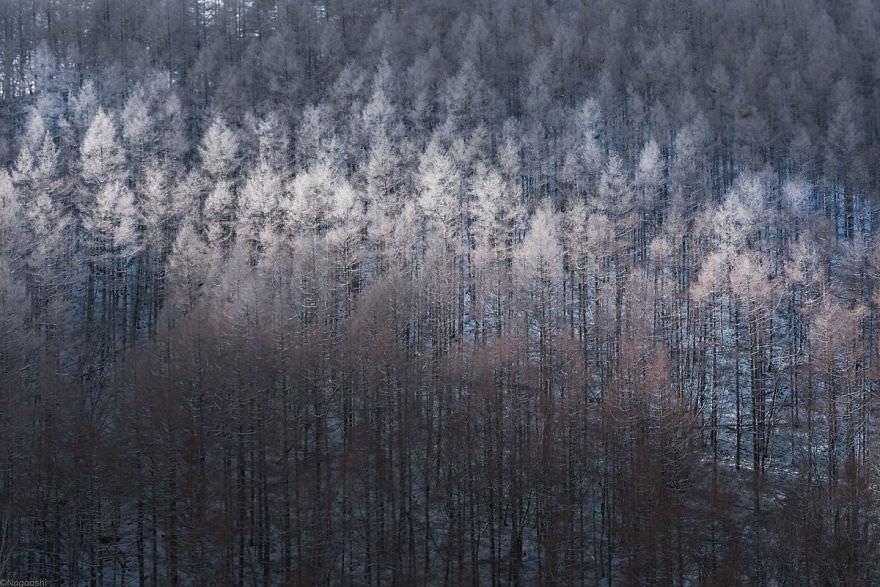 Сказочно красивая зима в Японии