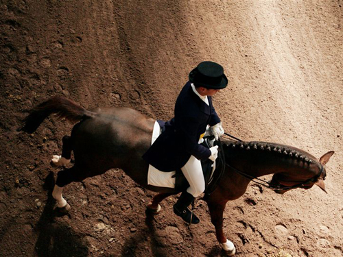 Украина впервые будет представлена на Олимпиаде в соревнованиях по конному спорту 