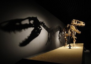 Палеонтологи обнаружили окончательные доказательства гибели динозавров от падения метеорита