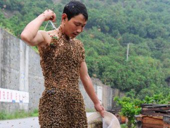 Китаец удержал на своем теле 26 килограммов пчел