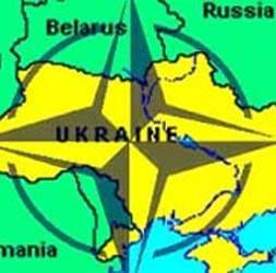 Украина рассказала НАТО о реформе армии