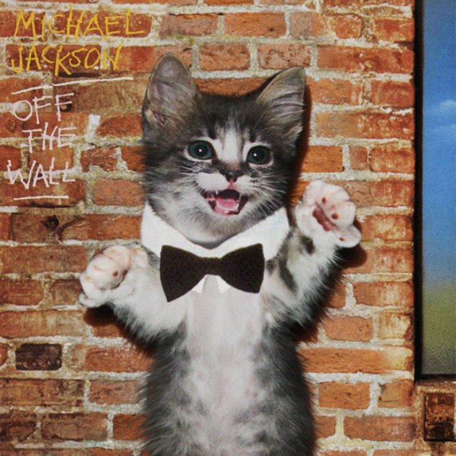 Котята на обложках культовых альбомов