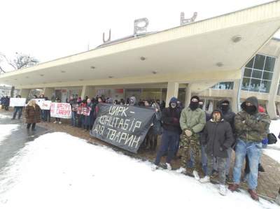 Во Львове возле цирка произошли стычки активистов с полицией. Видео