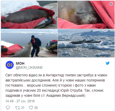 Сеть в восторге от морского котика, решившего вздремнуть в лодке украинских полярников