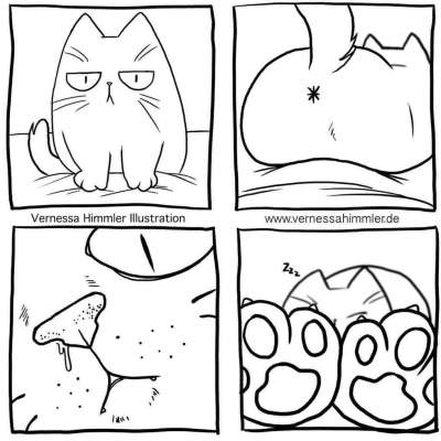 Жизнь с котом в прикольных комиксах