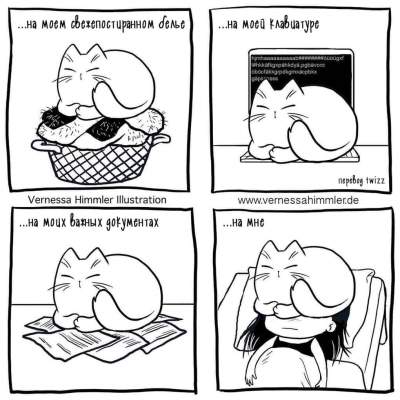 Жизнь с котом в прикольных комиксах