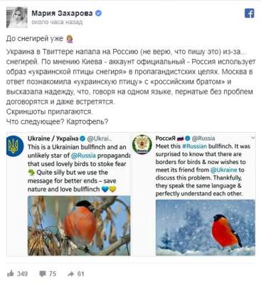 Спикер МИД РФ насмешила рассказом о «русских» снегирях