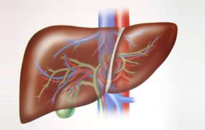 Медики рассказали о причинах печеночной недостаточности