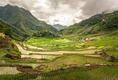 Волшебная красота рисовых террас на Филиппинах. Фото