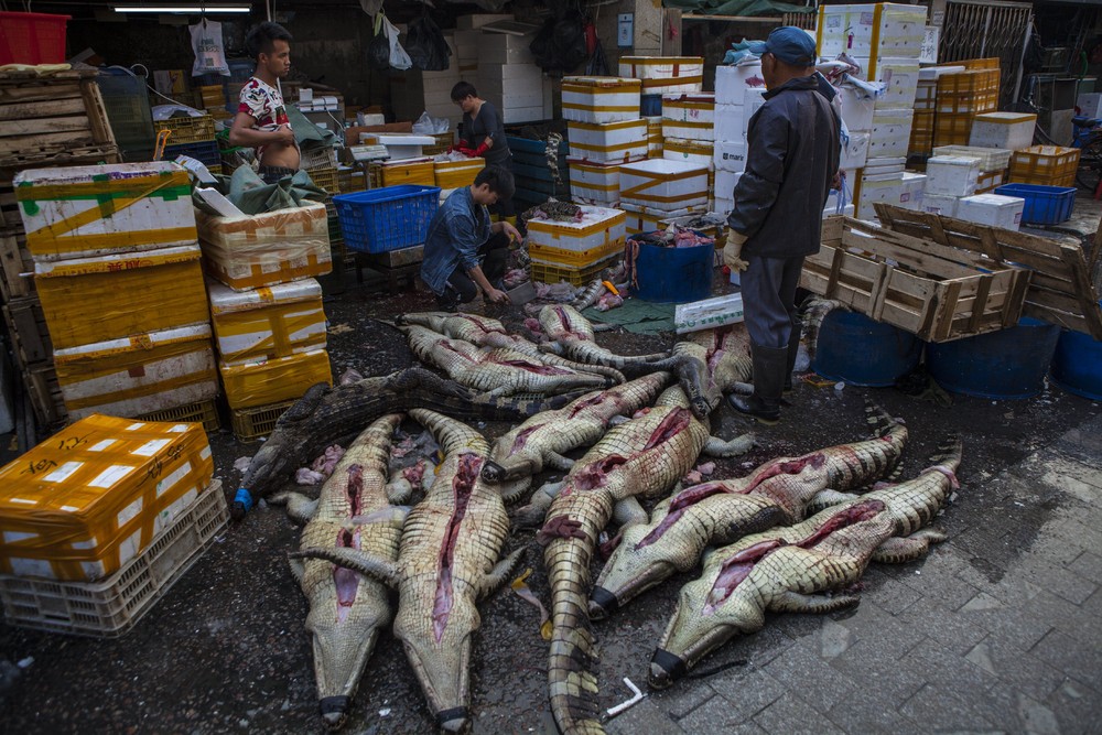 Китайский рынок морепродуктов Цукидзи