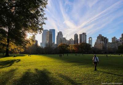 Виртуальная прогулка по нью-йоркскому Центральному парку. Фото