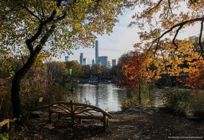 Виртуальная прогулка по нью-йоркскому Центральному парку. Фото