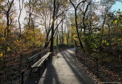 Виртуальная прогулка по нью-йоркскому Центральному парку. Фото