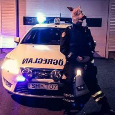 Исландские полицейские покорили  Instagram забавными снимками 