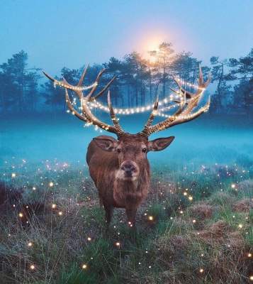 Причудливые фотоколлажи с животными от Роберта Янса. Фото