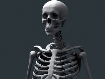 В новозеландской школе нашли человеческий скелет