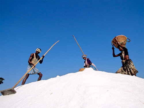Врачи призывают ООН ограничить потребление соли в мире 