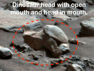 На Марсе заметили голову динозавра