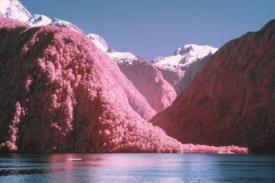 Фотограф показал Новую Зеландию в инфракрасных лучах. Фото