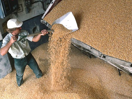 Аграрии собрали более 34 миллионов тонн зерна