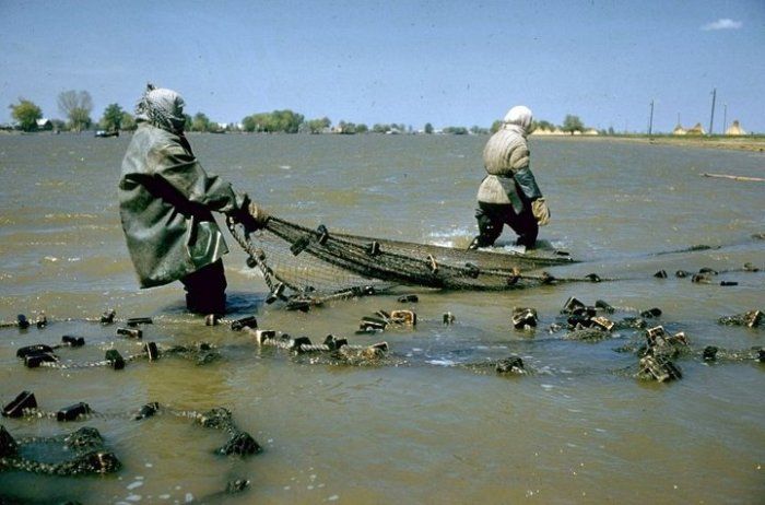 Как добывали черную икру в СССР на фотоснимках американского фотографа