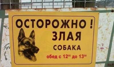 Осторожно, злая собака: смешные вывески от «гостеприимных» хозяев