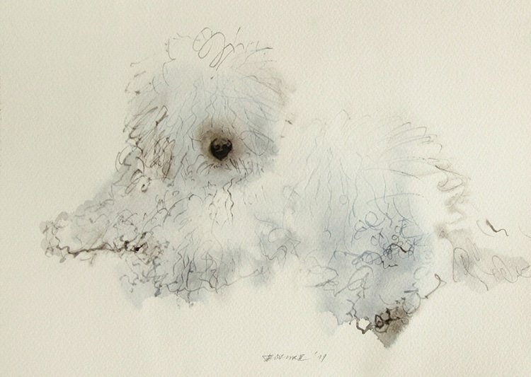 Выразительные собаки на акварельных рисунках Эндре Пеновака