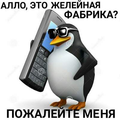 «Говорящий» пингвин стал героем смешных мемов