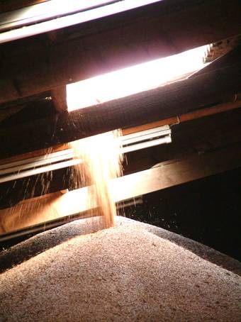 Украинское зерно скоро будет негде хранить
