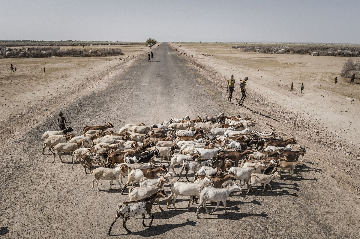 Финалисты конкурса фотожурналистов World Press Photo 2018