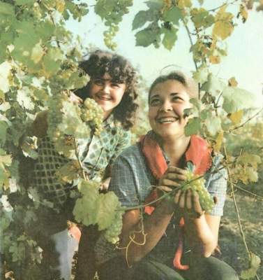 Советские девушки и женщины в своей естественной красоте. Фото
