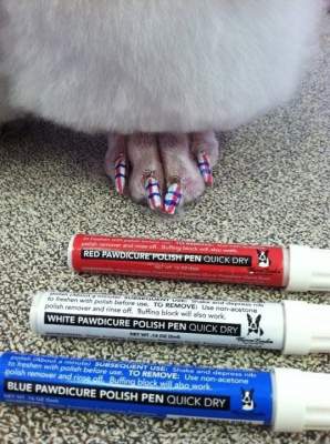 Когда хозяин – идиот: фотки собак, которым накрасили ногти