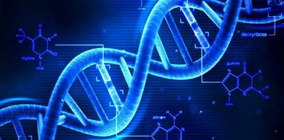 Ученые нашли новую связь между внешностью и ДНК