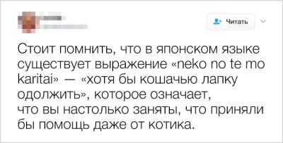 Жизнь несправедлива: доказано этими прикольными твитами