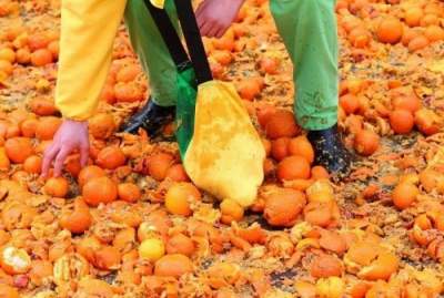 Итальянская «битва апельсинами» в ярких снимках. Фото