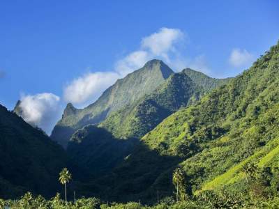 Яркие пейзажи, которые можно увидеть лишь на Таити. Фото