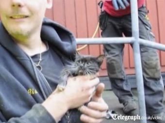 В Швеции провели двухдневную операцию по спасению котенка