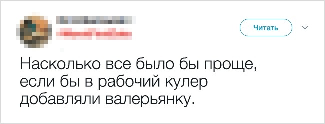 23 доказательства того, что взрослая жизнь — настоящий аттракцион безумия. ФОТО