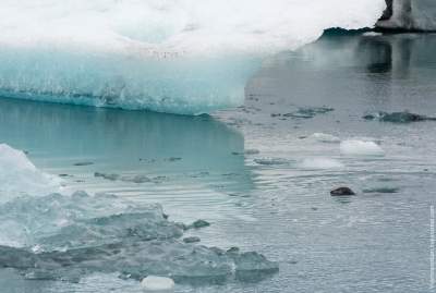 Льды Исландии в завораживающих пейзажах. Фото