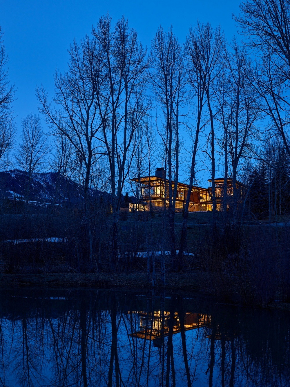 Резиденция в горах Айдахо