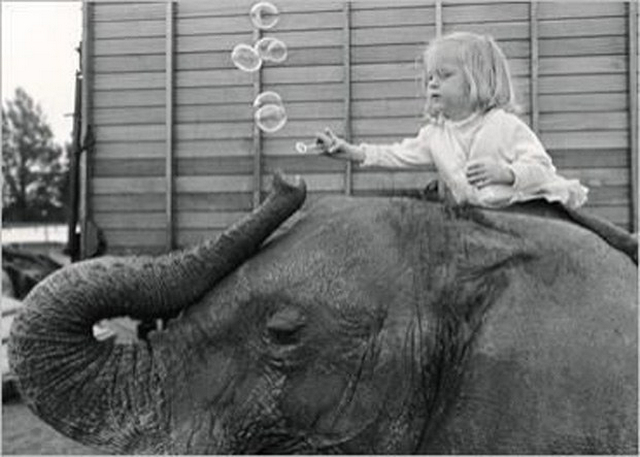 Дети и животные на снимках Джона Дрисдейла
