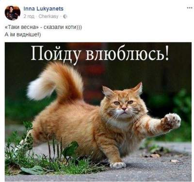 Соцсети потешаются над «весенней» погодой в Украине