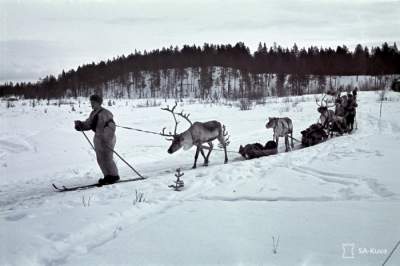 Вторая Мировая в уникальных снимках, сделанных в Финляндии. Фото