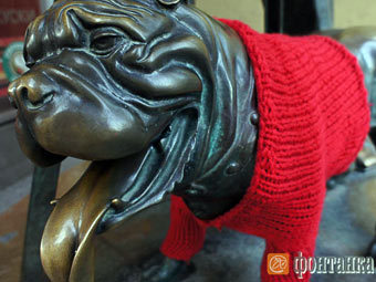 Питерскому бронзовому псу подарили свитер