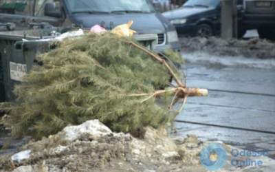 Не дождались мая: в Одессе выбросили новогоднюю елку