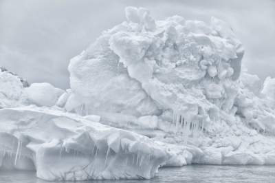 Лучшие снимки по версии Sony World Photography Awards 2018. Фото