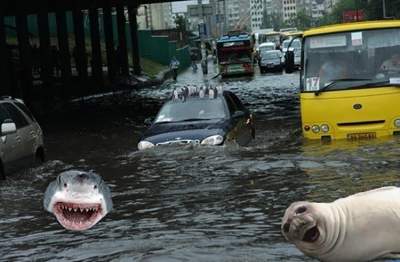 Ежегодный «потоп» в Киеве высмеяли в фотожабах