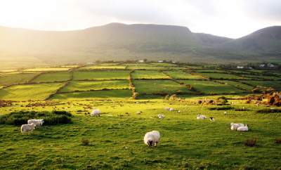 Завораживающие пейзажи далекой Ирландии. Фото