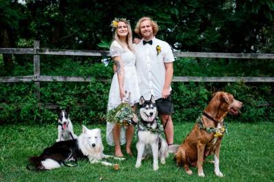 Собака стала фотографом на свадьбе своей хозяйки. Фото
